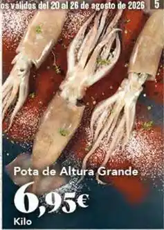 Gadis Pota de altura grande oferta