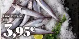 Gadis Lirio entero oferta