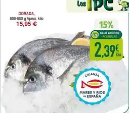 Masymas Dorada - dorada oferta