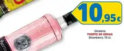 TOP Cash & Carry Puerto de indias - ginebra strawberry oferta