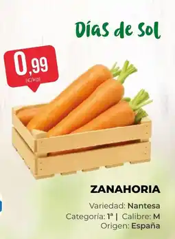 SPAR Gran Canaria Días de Sol zanahoria oferta
