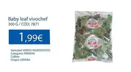 Dialsur Cash & Carry Origen - baby leaf vivochef oferta
