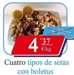 Congelados Copos Cuatro tipos de setas oferta