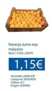 Dialsur Cash & Carry Origen - naranja zumo esp. maquina oferta