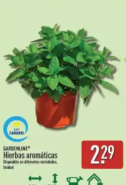 ALDI Gardenline hierbas aromáticas oferta