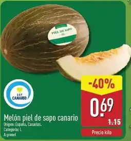 ALDI Melón piel de sapo canario oferta