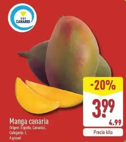 ALDI Manga canaria oferta