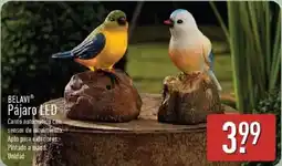 ALDI Belavi pájaro led oferta