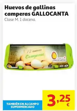 Alcampo GALLOCANTA Huevos de gallinas camperas oferta