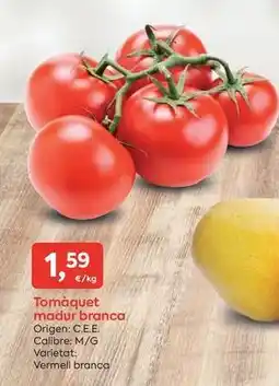 Suma Supermercados Origen - tomàquet madur branca oferta