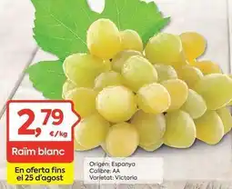 Suma Supermercados Origen - en oferta fins oferta