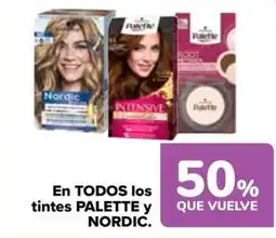 Carrefour PALETTE y NORDIC En todos los tintes oferta