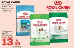 Kiwoko ROYAL CANIN Pienso perro Referencias seleccionadas oferta