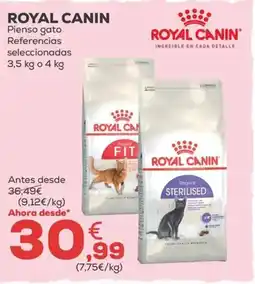 Kiwoko ROYAL CANIN Pienso gato Referencias seleccionadas oferta