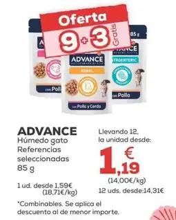 Kiwoko ADVANCE Húmedo gato Referencias seleccionadas oferta