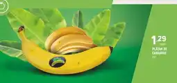 Coviran Platan de canarias oferta