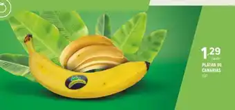 Coviran Platan de canarias oferta
