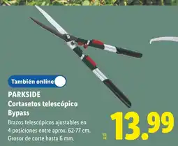 Lidl Parkside cortasetos telescópico bypass oferta