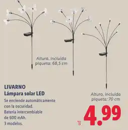 Lidl Livarno lámpara solar led oferta