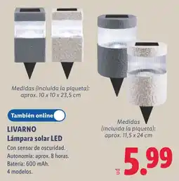 Lidl Livarno lampara solar led oferta