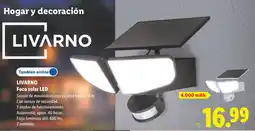 Lidl Livarno foco solar led oferta