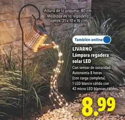 Lidl Livarno lámpara regadera solar led oferta