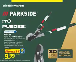 Lidl Parkside tijeras de poda telescópicas oferta