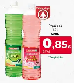 SPAR Lanzarote Spar fregasuelos oferta