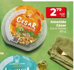 Dia Amanida Cèsar oferta