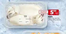 Maxi Dia Selección de día sípia oferta