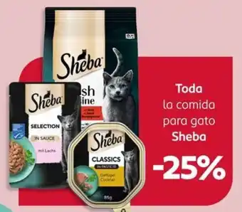 Sheba comida para gato