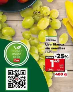 Dia Supermercados Dia Uva Blanca sin semillas oferta
