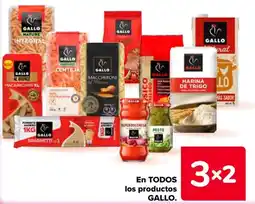 Carrefour Gallo en todos los productos oferta