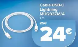Carrefour Cable USB-C Lightning MUQ93ZM/A oferta