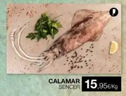 Plusfresc Calamar sencer oferta