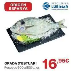 Origen - orada d'estuari
