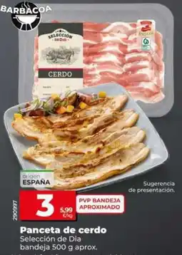 Dia Seleccion de dia - panceta de cerdo oferta