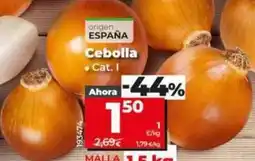 Dia Cebolla oferta