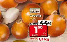 Dia Cebolla oferta