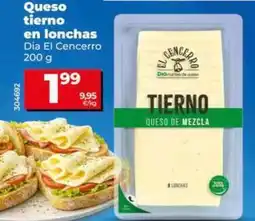 Dia Dia el cencerro - queso tierno en lonchas oferta
