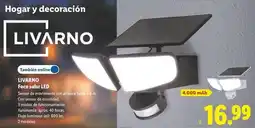 Lidl Livarno - foco solar led oferta