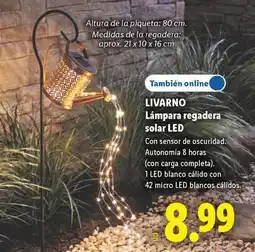 Lidl Livarno - lámpara regadera solar led oferta