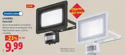 Lidl Livarno - foco led oferta