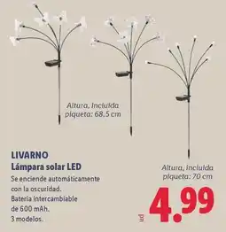 Lidl Livarno - lampara solar led oferta