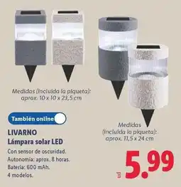 Lidl Livarno - lámpara solar led oferta