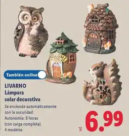 Lidl Livarno - lámpara solar decorativa oferta