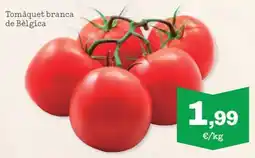 Sorli Tomàquet branca de Bèlgica oferta