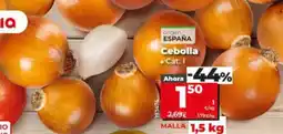 Dia Fresh Cebolla oferta