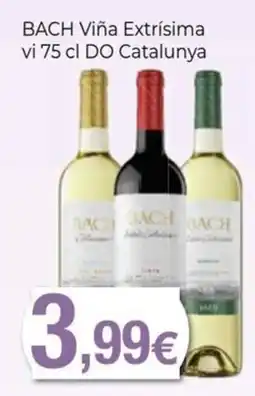 Keisy Bach viña extrísima oferta