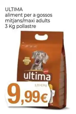 Keisy ultima aliment per a gossos mitjans/maxi adults oferta